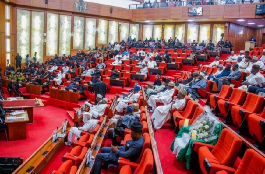 Nigerian Senate forced to emergency closed-door session as Senator Ndume, walked out of Chamber