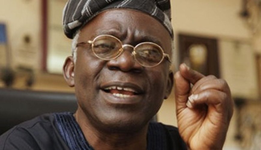 Supreme Court shouldn’t determine winners of elections – Falana