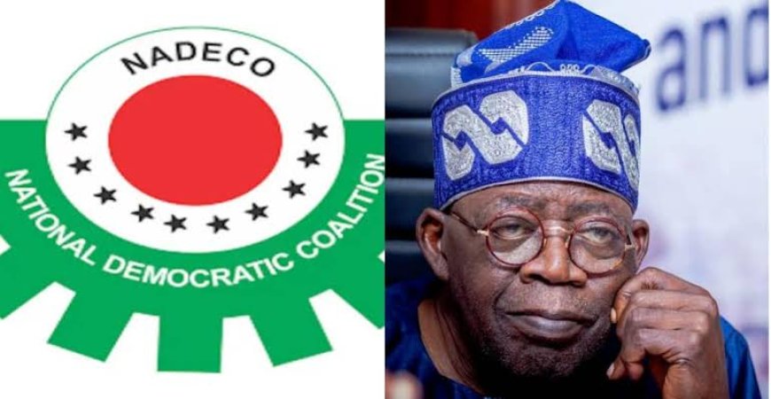 Supreme Court verdict: We’ll not congratulate Tinubu who’s under FBI, Social Security admin radar – NADECO USA vows