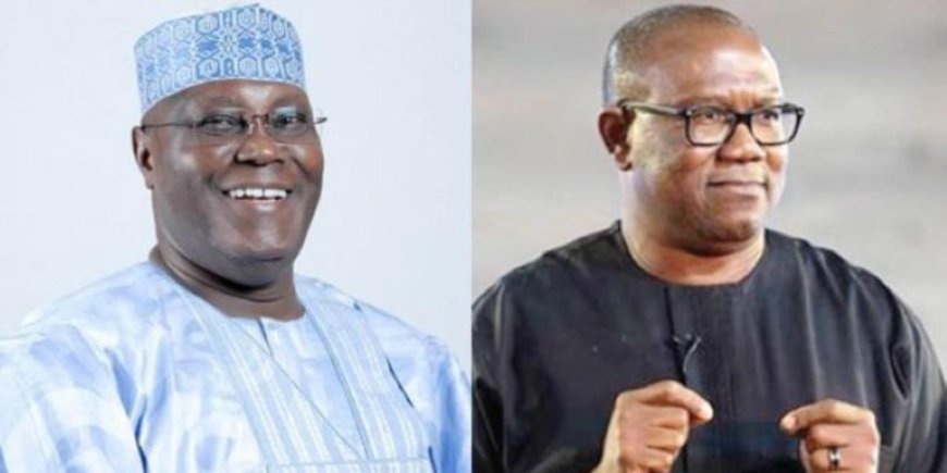 Peter Obi’s Camp Disagrees With Atiku Abubakar Over Six-Year Presidential Single-Tenure Proposal