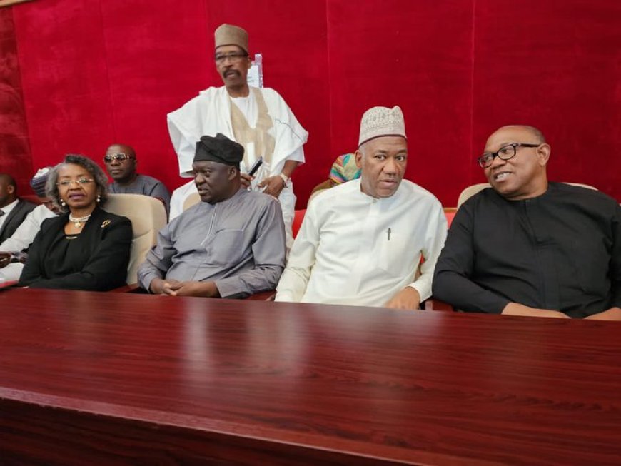 Supreme Court judgment: Peter Obi hints on contesting 2027 presidential election