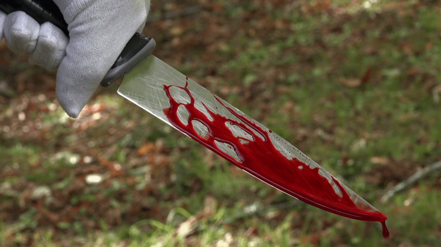 Cultist reportedly stabs retired nurse, housemaid to death in Benue