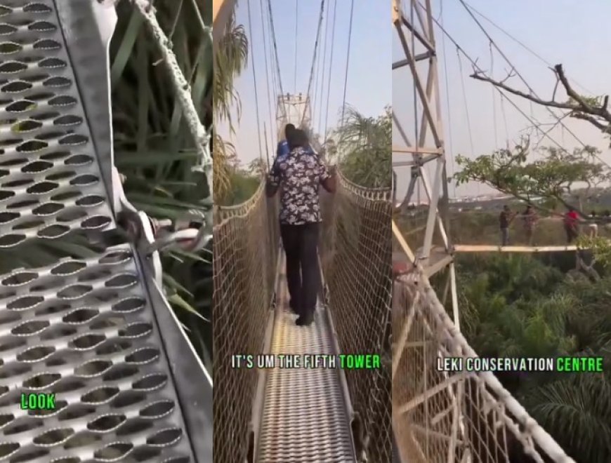 Nigerian man raises alarm over cracks on the Canopy walk bridge in Lekki Conservation Center